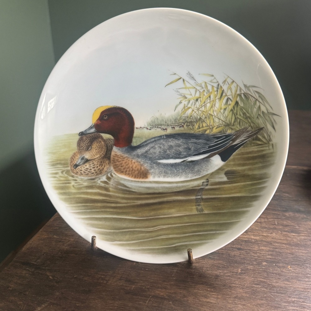 JWK Bavaria John Gould Pochard Duck Collector Plate Western Germany Vintage